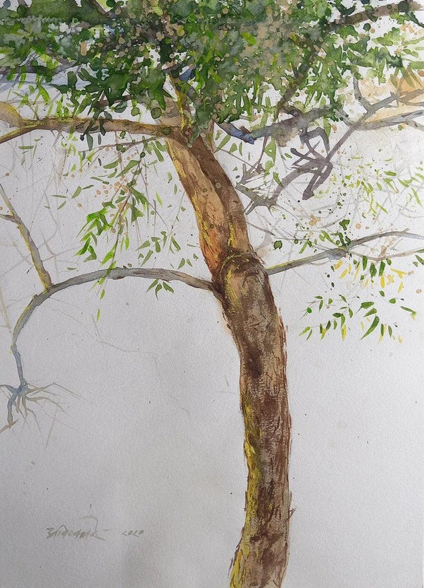 Nature watercolor painting titled 'The New Birth Of The Tree', 12x9 inches, by artist Avishkar Vispute on Paper