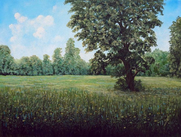 Nature acrylic painting titled 'The Valley', 36x48 inches, by artist Seby Augustine on Canvas