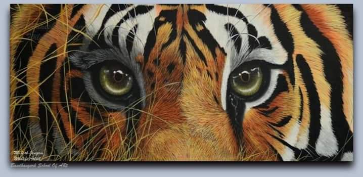 Animals acrylic painting titled 'Tiger eyes', 48x24 inches, by artist Mahesh Jangam on Canvas