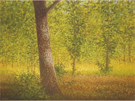 Landscape oil painting titled 'Tree Trunk II', 18x24 inches, by artist Fareed Ahmed on Canvas