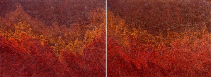 Abstract acrylic painting titled 'Untitled 67 Diptych', 36x96 inches, by artist Durgesh Birthare on Canvas