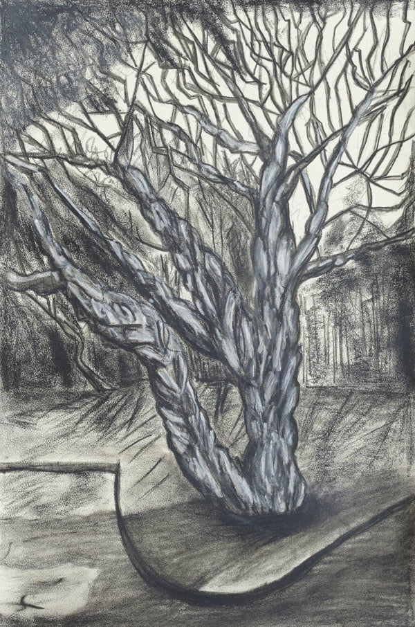 Nature charcoal artcontent titled 'Vruksha', 12x18 inches, by artist Nitin KD on paper