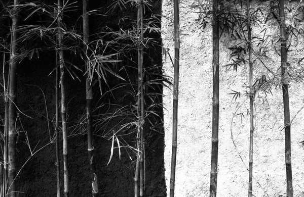 Abstract photography titled 'Wall Bamboo Background', 11x17 inches, by artist Rahmat Nugroho on