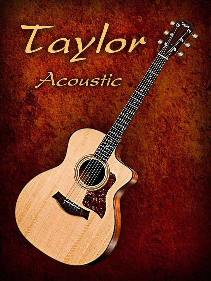 Music photography titled 'Wonderful Taylor Acoustic Guitar', 15x11 inches, by artist Shavit Mason on