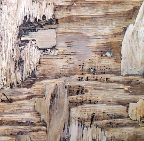 Abstract mixed media painting titled 'Wood Texture I', 12x12 inches, by artist Somen Debnath on wood