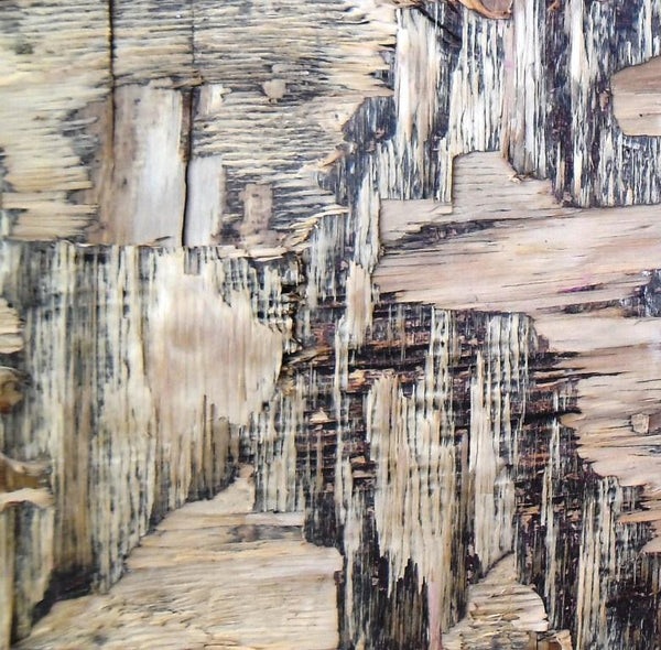 Abstract mixed media painting titled 'Wood Texture II', 12x12 inches, by artist Somen Debnath on wood