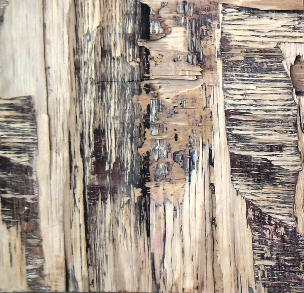 Abstract mixed media painting titled 'Wood Texture IV', 12x12 inches, by artist Somen Debnath on wood