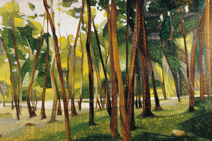 Nature serigraphs painting titled 'The Woods Palni Hills 2', 30x44 inch, by artist Jehangir Sabavala on Paper